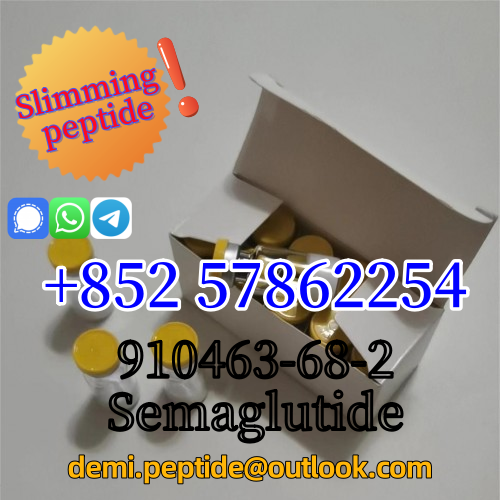 High Quality Sermaglutide Powder Semaglutide CAS 910463-68-2 รูปที่ 6