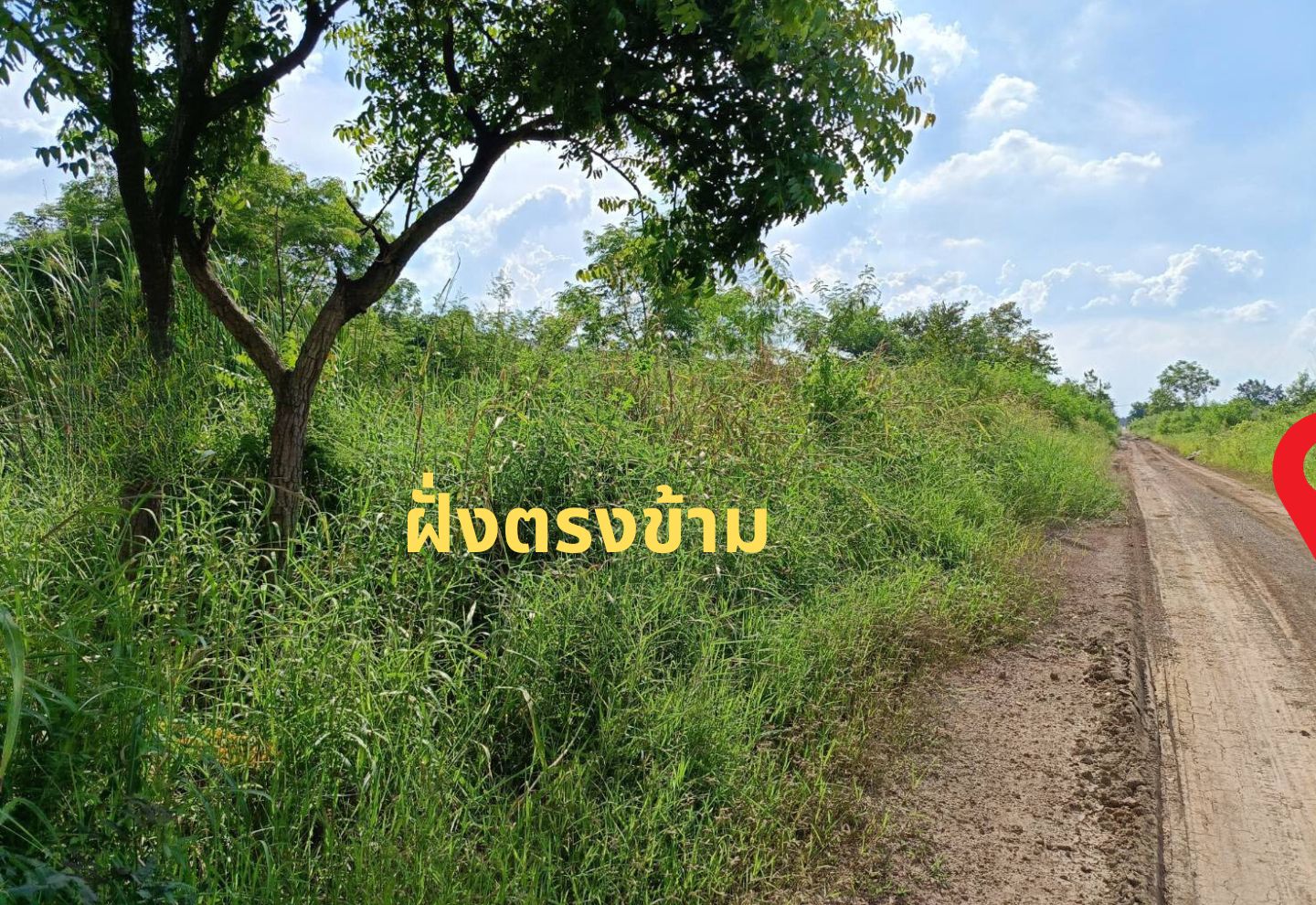 ขาย ที่ดินคลอง 6 ถึงราชมงคลธัญบุรี เพียง 5 นาที เนื้อที่ 150 ตร.ว. พื้นที่สีชมพู รูปที่ 1