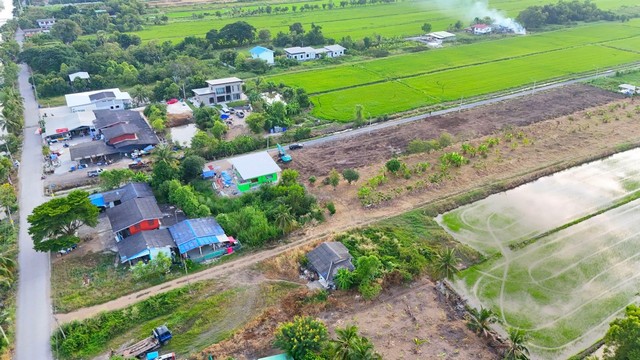 ขายที่ดินเปล่า คลองห้า ซอยตะวันตก69 อ.คลองหลวง จ.ปทุมธานี เนื้อที่ 100-800 ตรว. เหมาะสร้างบ้าน รูปที่ 1