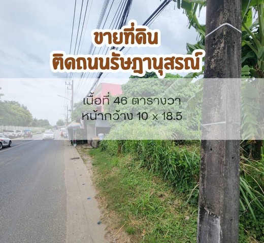 ขายที่ดินสวย ติดถนนรัษฎานุสรณ์ เทศบาลนครภูเก็ต ใจกลางภูเก็ต รูปที่ 1