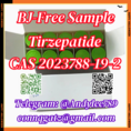 Tirzepatide CAS 2023788-19-2 AA2