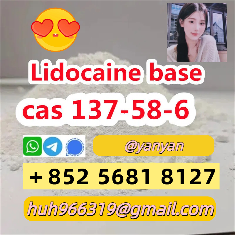 Sell CAS 137-58-6 supplier Lidocaine CAS 137-58-6 China supplier รูปที่ 1