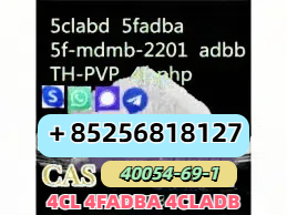 Sell 5CL-adb 5fadba China supplier รูปที่ 1