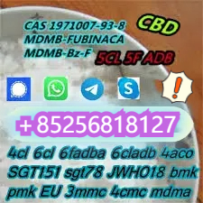 Sell CAS 5cladb 5f-adb-a adbb jwh-O18 sgt-151 4f factory supply รูปที่ 1