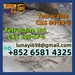 รูปย่อ 100% Customs Clearance Procaine Base/ Procaine Hcl CAS 59-46-1/51-05-8 รูปที่3