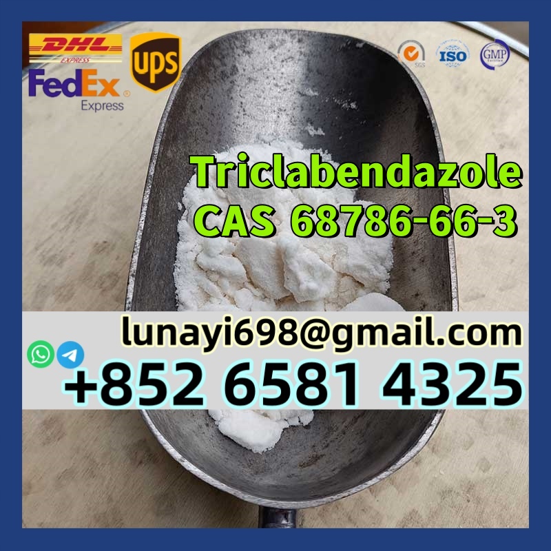 Hot Selling Veterinary Medicine Powder CAS 68786-66-3 Triclabendazole รูปที่ 1