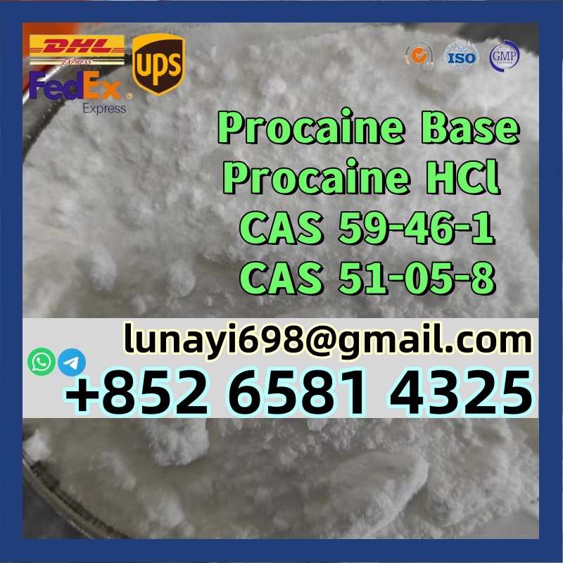 100% Customs Clearance Procaine Base/ Procaine Hcl CAS 59-46-1/51-05-8 รูปที่ 1