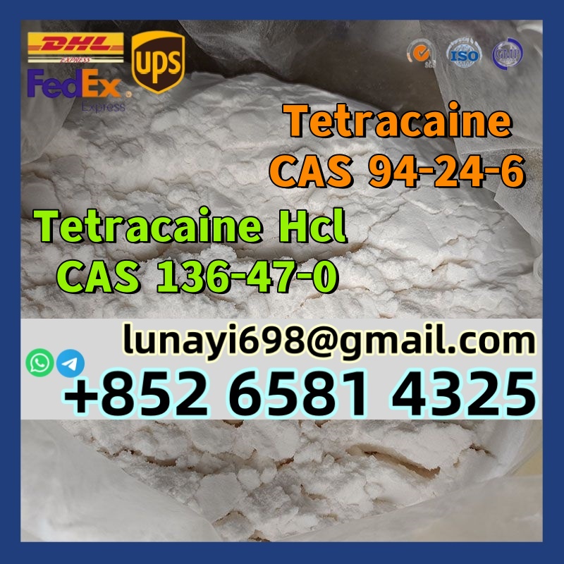 Europe 99.9% Pure tetracaine CAS 94-24-6 Tetracaine HCl CAS 136-47-0 100% Pass Customs รูปที่ 1