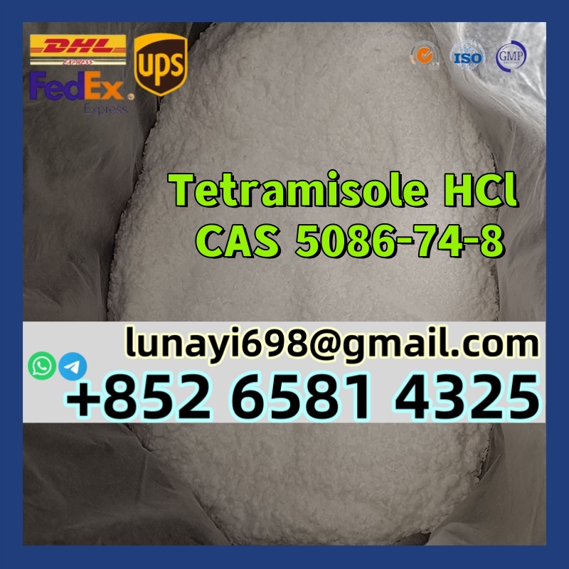 99% Pure Tetramisole HCl CAS 5086-74-8 High Purity No Customs Issues Door to Door รูปที่ 1