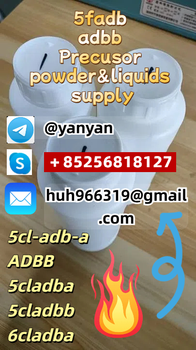 Sell 5cl adbb powder 4cl 5cladba 5cladbb 6cladba China supplier รูปที่ 1