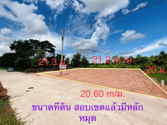 ขายที่ดิน 105.9 ตรว.ถมดินแล้ว ใกล้ตลาดสดวัดธาตุ ที่ดินอยู่ในตัวเมืองหนองคาย  รูปที่ 1