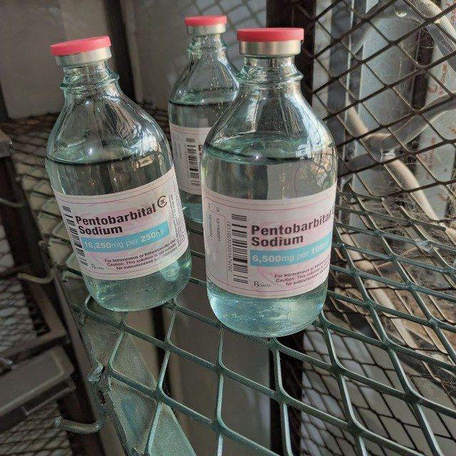 BUY NEMBUTAL ONLINE ,BUY PENTOBARBITAL SODIUM, BUY INJECTABLE NEMBUTAL,BUY NEMBUTAL ONLINE รูปที่ 1