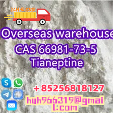 Sell CAS66981-73-5 Tianeptine China supplier รูปที่ 1