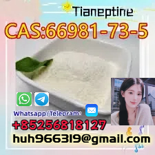 Sell high quality CAS66981-73-5 Tianeptine with best price China supplier รูปที่ 1