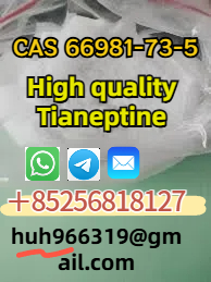 Sell high qualityTianeptine raw CAS66981-73-5 China supplier รูปที่ 1