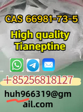 Sell high qualityTianeptine raw CAS66981-73-5 China supplier