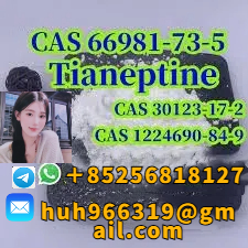 Sell CAS66981-73-5 Tianeptine China supplier รูปที่ 1