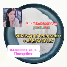 Sell CAS66981-73-5 Tianeptine China supplier รูปที่ 1