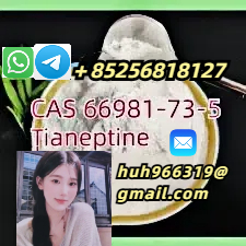 Sell CAS66981-73-5 Tianeptine China supplier รูปที่ 1