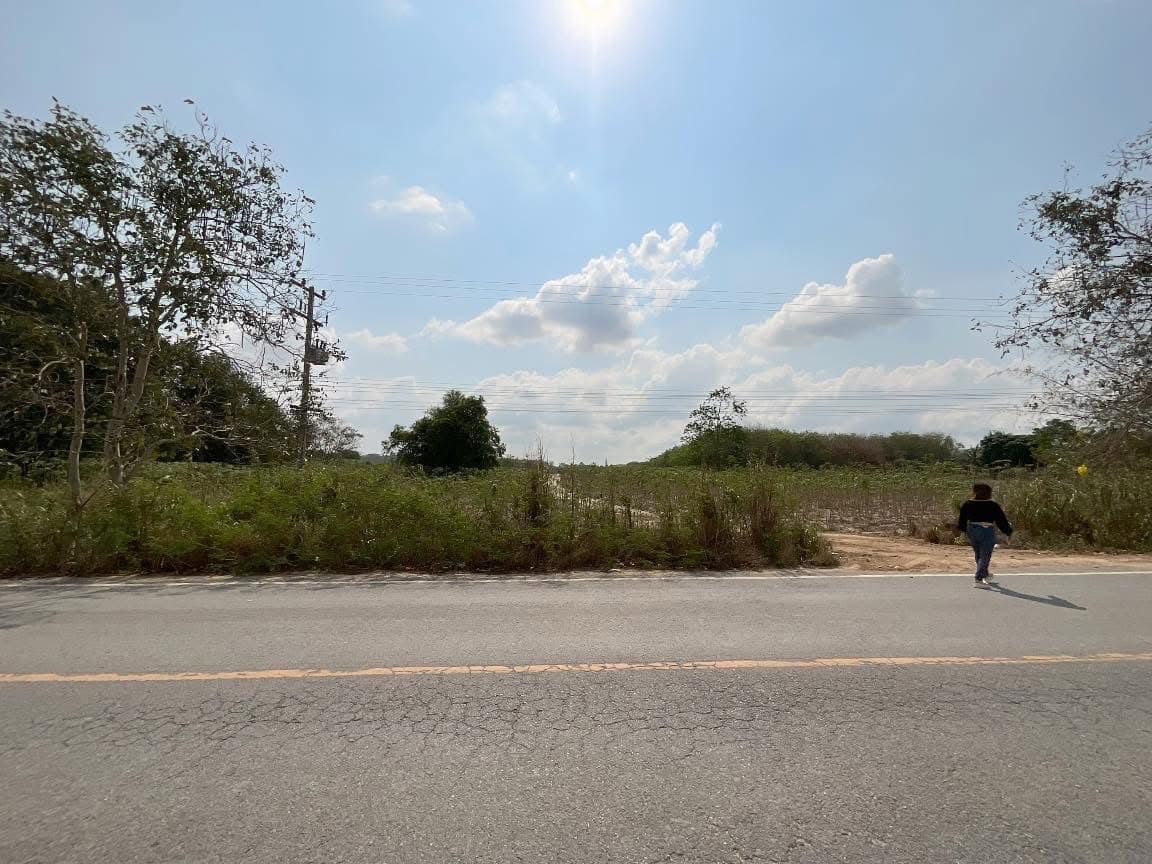 ขายที่ดินเปล่าติดถนน 3376 พนานิคม นิคมพัฒนา ระยอง 24-1-28.7 ไร่ รูปที่ 5