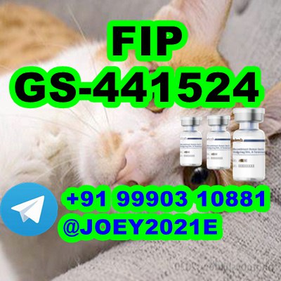  GS-441524 cat Fip Feline Infectious Peritonitis รูปที่ 1