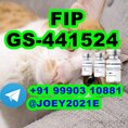  GS-441524 cat Fip Feline Infectious Peritonitis