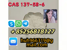 Sell 99% Anesthesia Powder CAS 137-58-6 Bulk Stock Lidocaine Safe Clearence 10 GEL รูปที่ 1