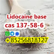 Sell Cas 137586 Lidocaine Base To Europe Safety รูปที่ 1