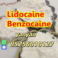 Sell Lidocaine powder hot sale CAS 137-58-6 รูปที่ 1