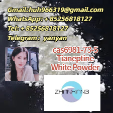 Sell cas66981-73-5 nameTianeptine white powder รูปที่ 1