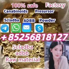 Sell CAS 137350-66-4 Top Supplier 5cladba 5cl-adb-a 5f-mdmb-2201 6cl 4fadb,5fadba,6cladba(+85256818127) รูปที่ 1