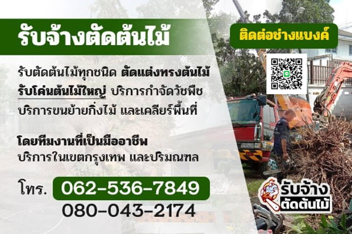 บริการตัดต้นไม้ในกรุงเทพฯและปริมณฑล ปลอดภัย มั่นใจ งานคุณภาพ โดยทีมมืออาชีพ รูปที่ 1