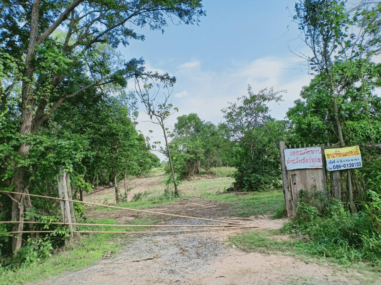 ขายที่ดินตัวเมืองชัยภูมิ ที่สวย บรรยากาศดี อำเภอเมือง จังหวัดชัยภูมิ รูปที่ 1