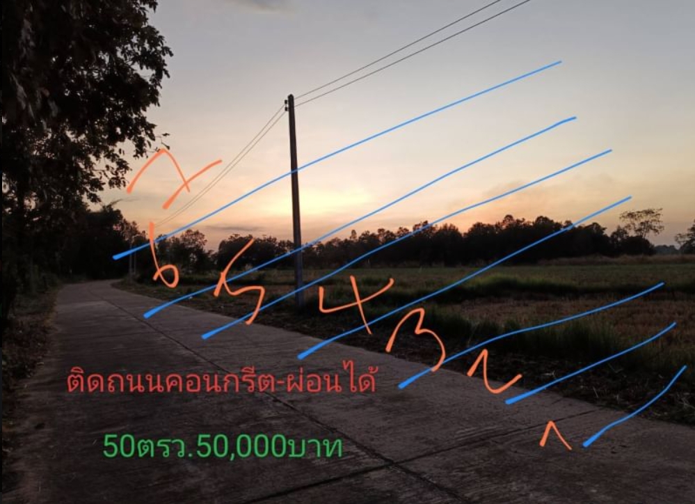 ขายที่ดินทำบ้านราคาถกๆ ขนาด50ตรว. รูปที่ 1