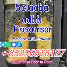 5CLADBA Online Ordering Best Price Yellow Powder 5cl รูปที่ 1