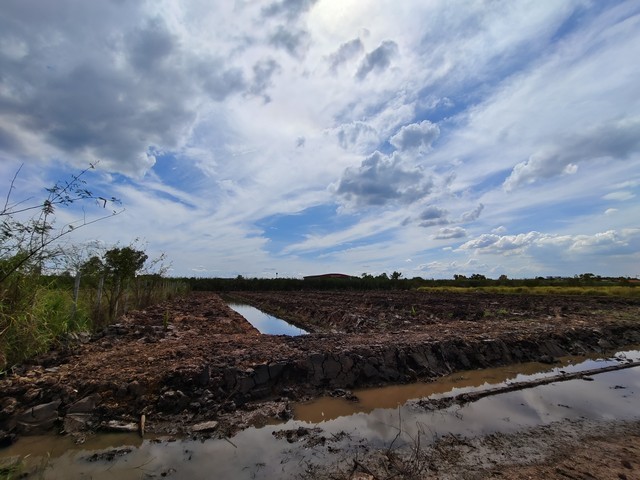 ขายต่ำกว่าราคาประเมิน ที่ดิน ใกล้ถนนคลองหลวง เพียง 1 กม. เนื้อที่ 2 ไร่ 1 งาน 65 วา2 รูปที่ 1