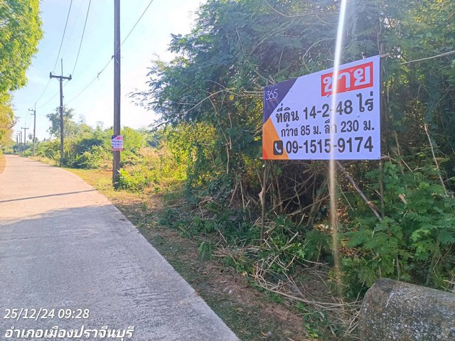 ขายที่ดินแปลงสวย ใกล้สามแยกศูนย์ราชการปราจีนบุรี เหมาะทำร้านค้า ร้านอาหาร รูปที่ 1