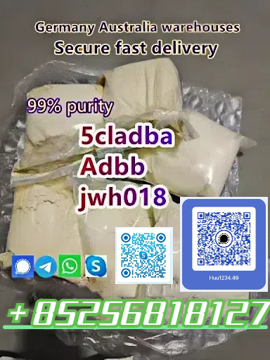 Sell 5CL-ADBB powder 4cl adb 5CL 5cladba raw รูปที่ 1