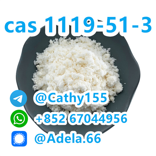 Hot sale 5-Bromo-1-pentene CAS 1119-51-3 with Fast Delivery รูปที่ 1