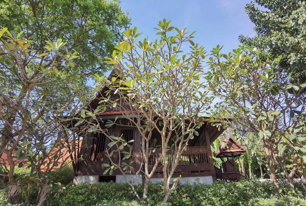 บ้านเรือนไทย สวยท่ามกลางธรรมชาติ บรรยากาศร่มรื่น วิวภูเขา บนพื้นที่ 1 ไร่ อู่ทอง สุพรรณบุรี รูปที่ 3