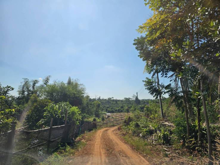 ขายที่ดิน อำเภอวังสมบูรณ์ สระแก้ว ใกล้ถนนลาดยาง เหมาะทำสวนทำไร่ รูปที่ 2