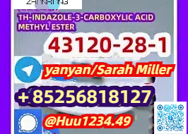 Sell 43120-28-1 1H-INDAZOLE-3-CARBOXYLIC ACID METHYL ESTER รูปที่ 1