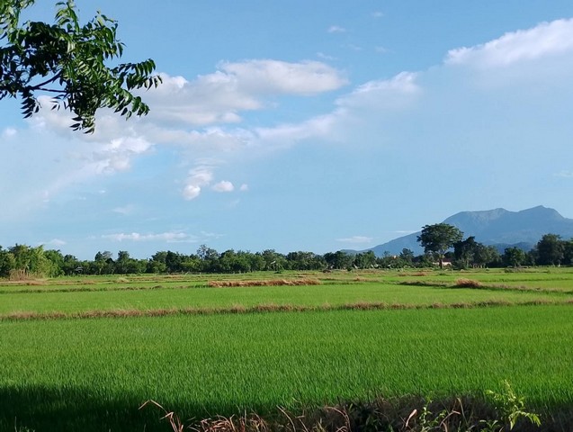 ที่ดินเปล่า   11 - 1 - 58  ไร่  ติดถนน  วิวสวย    ต.เมืองเก่า อ.เมือง  จ.สุโขทัย  ZN655  รูปที่ 1