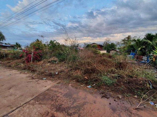 ขายที่ดินดอนขี้เหล็กบ้านดุง ติดทางสาธารณะถนนคอนกรีตกว้าง 8 ม. รูปที่ 1