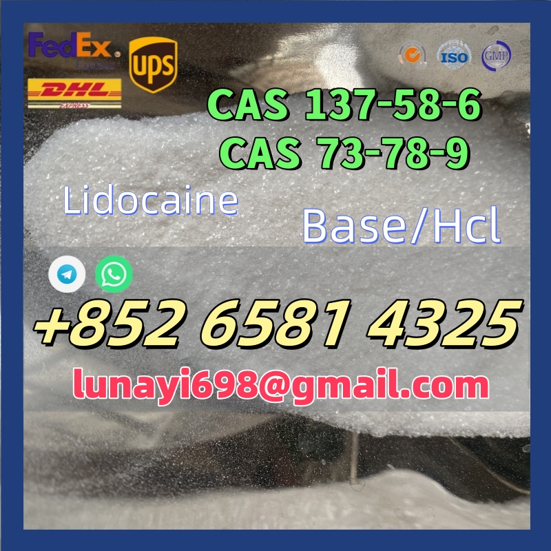 CAS 137-58-6 Lidocaine/CAS 73-78-9 Lidocaine Hcl รูปที่ 1