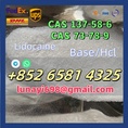 CAS 137-58-6 Lidocaine/CAS 73-78-9 Lidocaine Hcl