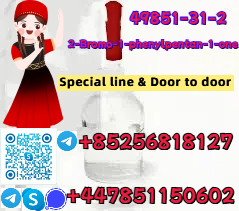 49851-31-2 Special line & Door to door รูปที่ 1