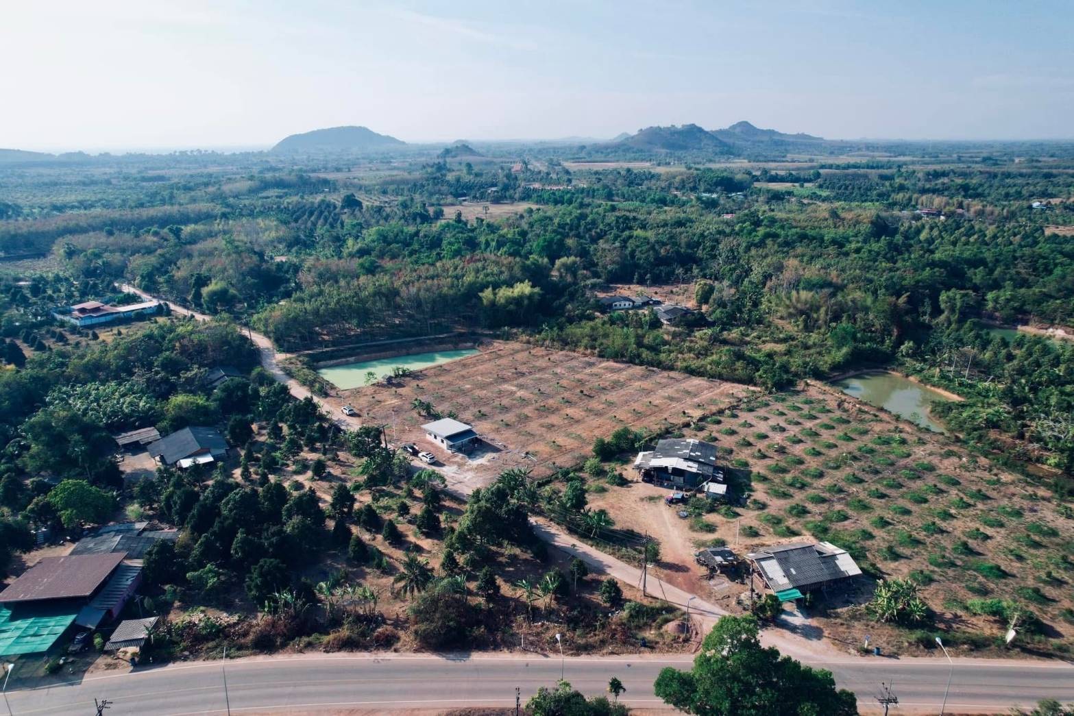 ขายที่ดินทำเลดี สวนทุเรียนหมอนทอง ขนาด 5-3-22.8 ไร่ จ.จันทบุรี รูปที่ 5