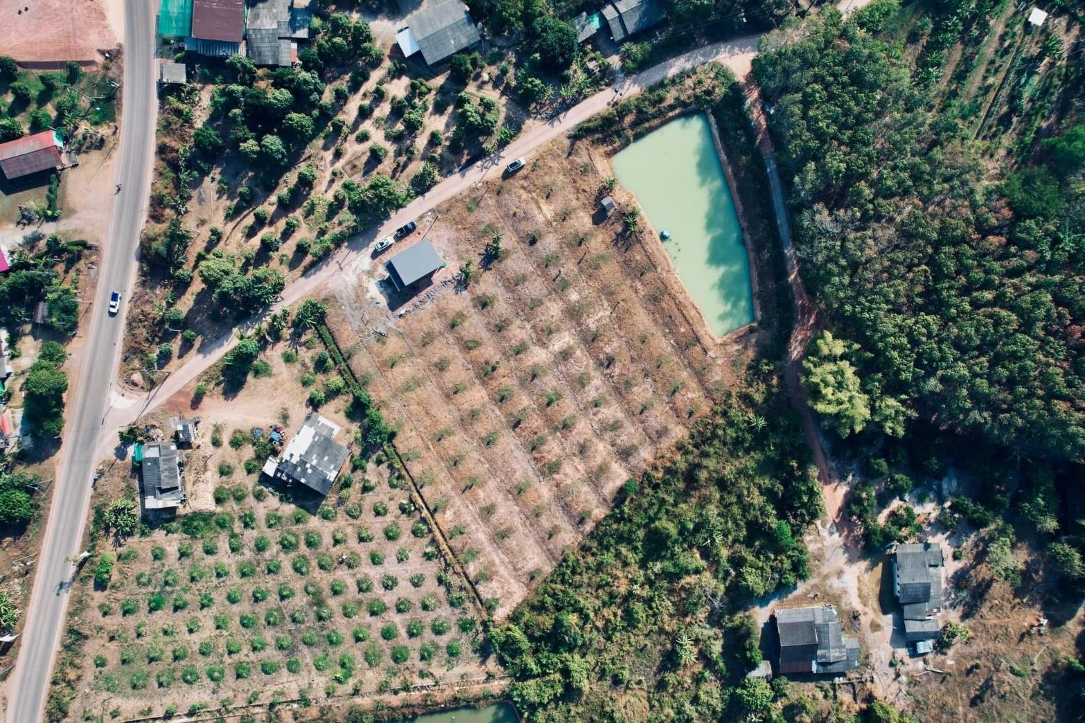 ขายที่ดินทำเลดี สวนทุเรียนหมอนทอง ขนาด 5-3-22.8 ไร่ จ.จันทบุรี รูปที่ 6