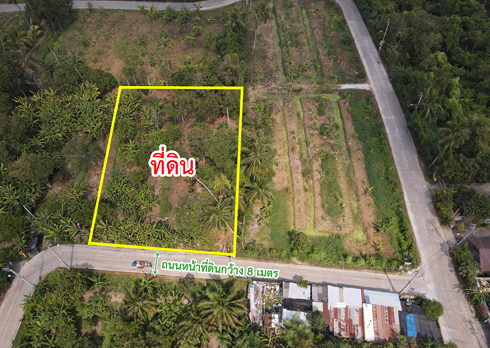 ขายที่ดิน บางกรวย-ไทรน้อย บางกร่าง นนทบุรี รูปที่ 4
